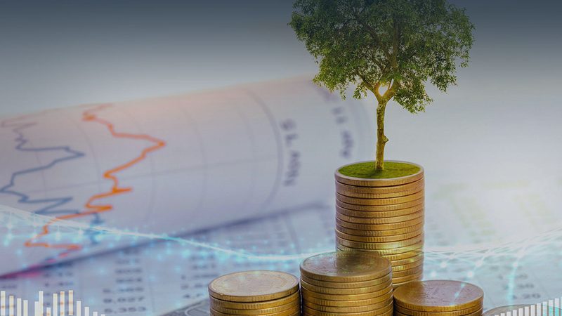 误区一：价格决定一切