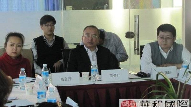 评估标准：顾问资质与案例量化